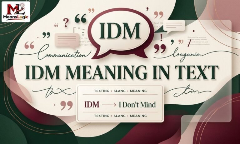IDM Meaning in Text What It Really Means and How to Use It Correctly